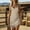 White, variant on Ovbmpzd Mini Summer Dresses for Women Blue A-Line Western Solid Dresses Sleeveless Casual V-Neck Dresses Womens Dresses,M