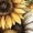 #1_Beige, variant on Women's Vintage Wildflower Graphic Tee - Sunflower Short Sleeve Boho Shirt | Loose Fit Crew Neck Casual Tops for Women & Teens