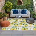 thumbnail image 2 of Summer Lemon Outdoor Rug for Patio/Deck/Porch, Non-Slip Large Area Rug 5 x 8 Ft, Yellow Fruit Farm Vintage White Wood Grain Indoor Outdoor Rugs Washable Area Rugs, Camping Rug Carpet Runner, 2 of 8