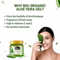 thumbnail image 4 of Indus Valley Bio Organic Non-Toxic Aloe Vera Gel for Acne, Scars, Glowing & Radiant Skin Treatment-175ml, 4 of 6