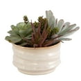 thumbnail image 3 of Uttermost Mesa Succulent Contemporary Ceramic Flower Pot in Tan/Green, 3 of 6