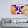 thumbnail image 3 of Trademark Fine Art 'Pit Bull Sadie' Canvas Art by DawgArt, 3 of 3