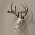 thumbnail image 3 of Allen Company Ez Mount Skull Peg Hook, Matte Black, Steel, Screw-In, Easy Installation, Interior Mount, 3 of 7