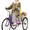 Purple, variant on Naipo Adult Tricycle 7 Speed Trikes 3 Wheel 26'' Bikes for Adults, Trike for Women Men, Rear Removable Wheeled Baskets - Seniors & Commuters, 350 lb - Green