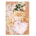 thumbnail image 1 of Unique Bargains Fleurs Séchées Naturelles Multiples Colorées Véritables Fleurs Pressées Séchées Plante Série Blanche, 1 of 5