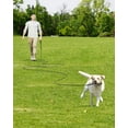 thumbnail image 4 of Training Leash Joytale - Correa larga para perros (10 mm x 5 m), color negro, 4 of 6