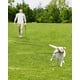 thumbnail image 4 of Training Leash Joytale - Correa larga para perros (10 mm x 5 m), color negro, 4 of 6