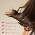 thumbnail image 4 of EBIN Wonder Wig Solution Leave In Conditioner⁠ ⁠Spray Type (8.5oz)⁠, 4 of 5
