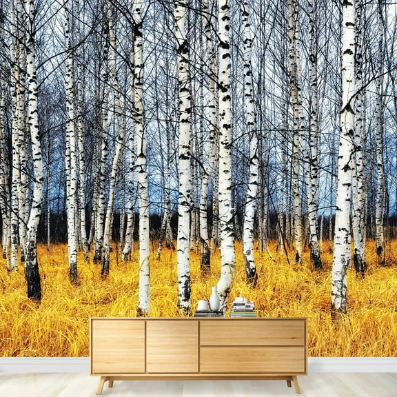 wall26 - Landscape Mural of a Birch Tree Forest - Wall Mural, Removable Sticker, Home Decor - 66x96 inches