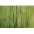 thumbnail image 2 of Stelfox, Norm 18x13 White Modern Wood Framed Museum Art Print Titled - Green I, 2 of 4