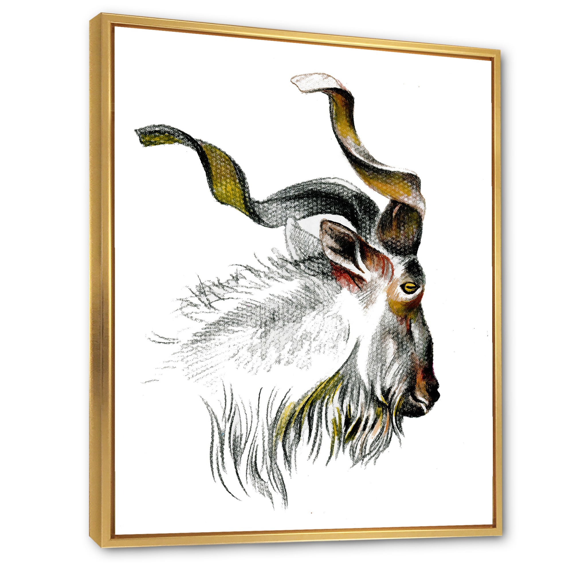Designart 'Black and White Portrait Of Goat II' Farmhouse Framed Canvas Wall Art Print