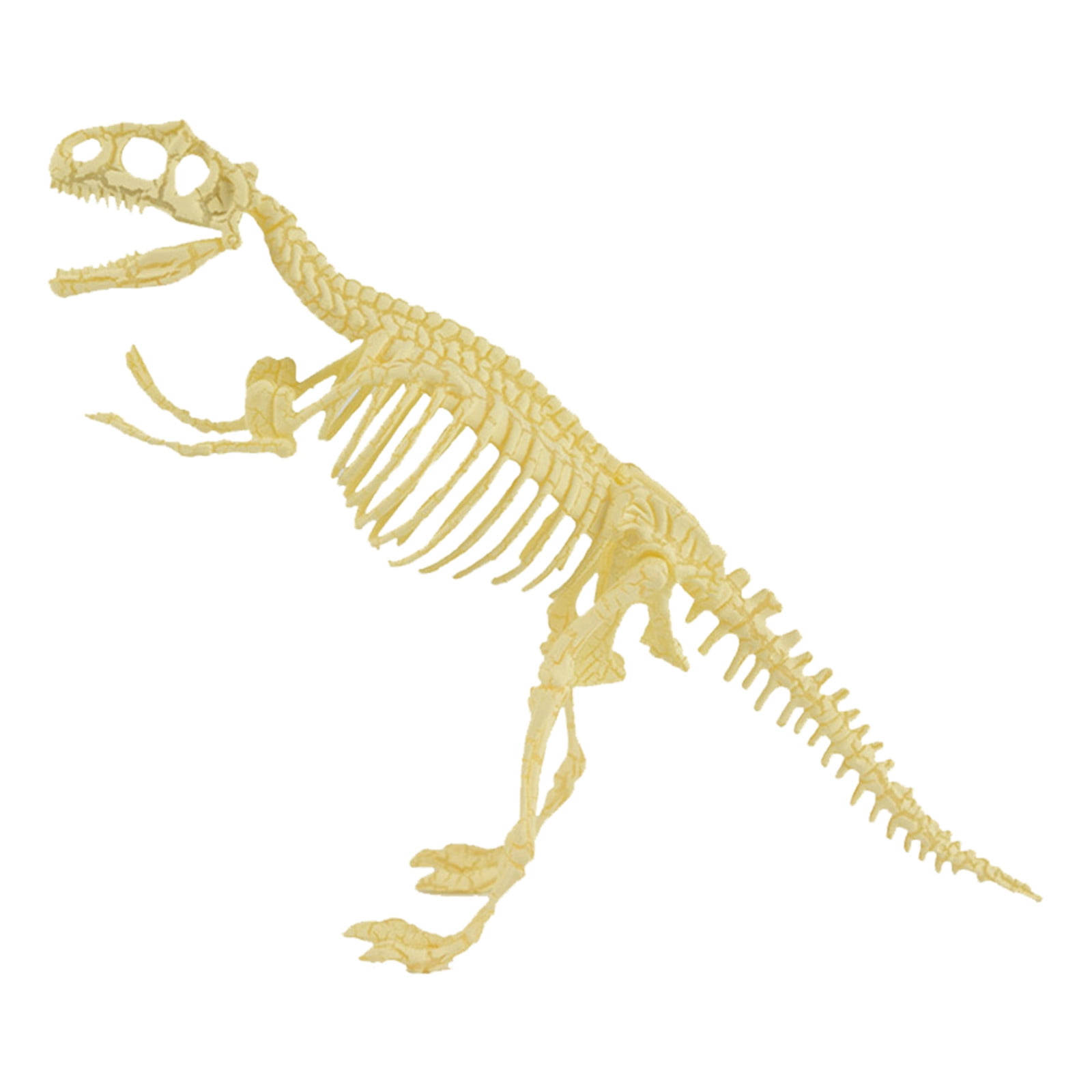 Yinguo DIY Dinosaur Skeleton Assorted Dinosaur Skeleton Toy Figures