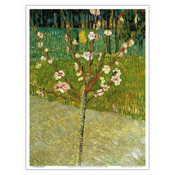 Almond Tree in Blossom - From an Original Color Painting by Vincent Van Gogh c.1888 - Master Art Print (Unframed) 9in x 12in