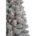 thumbnail image 2 of Kurt Adler 7-Foot Pre-Lit Clear New Brunswick Tree, 2 of 2