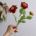 thumbnail image 5 of Chic Scabiosa Flower Bouquets: Timeless Elegance For Effortless Home Decor!, 5 of 9