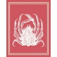 thumbnail image 2 of Fab Funky 20x24 White Modern Wood Framed Museum Art Print Titled - Mixed Nautical White on Coral a, 2 of 4