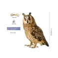 thumbnail image 5 of Joernso 1 Set Owl Pendant Effective Bird Repellent Double-sided Printed Owl Ornament for Garden Patio Windows, 5 of 7
