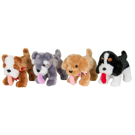Schnauzer Puppies - 12