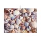thumbnail image 1 of Fotbe Sea Shells Alfombrilla de Secado para Cocina con Estampado, 18x24 Pulgadas, 1 of 7