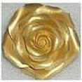 thumbnail image 2 of AmeriColor AmeriMist Gold Sheen, 4.5 Ounce, Airbrush Food Color, 2 of 2