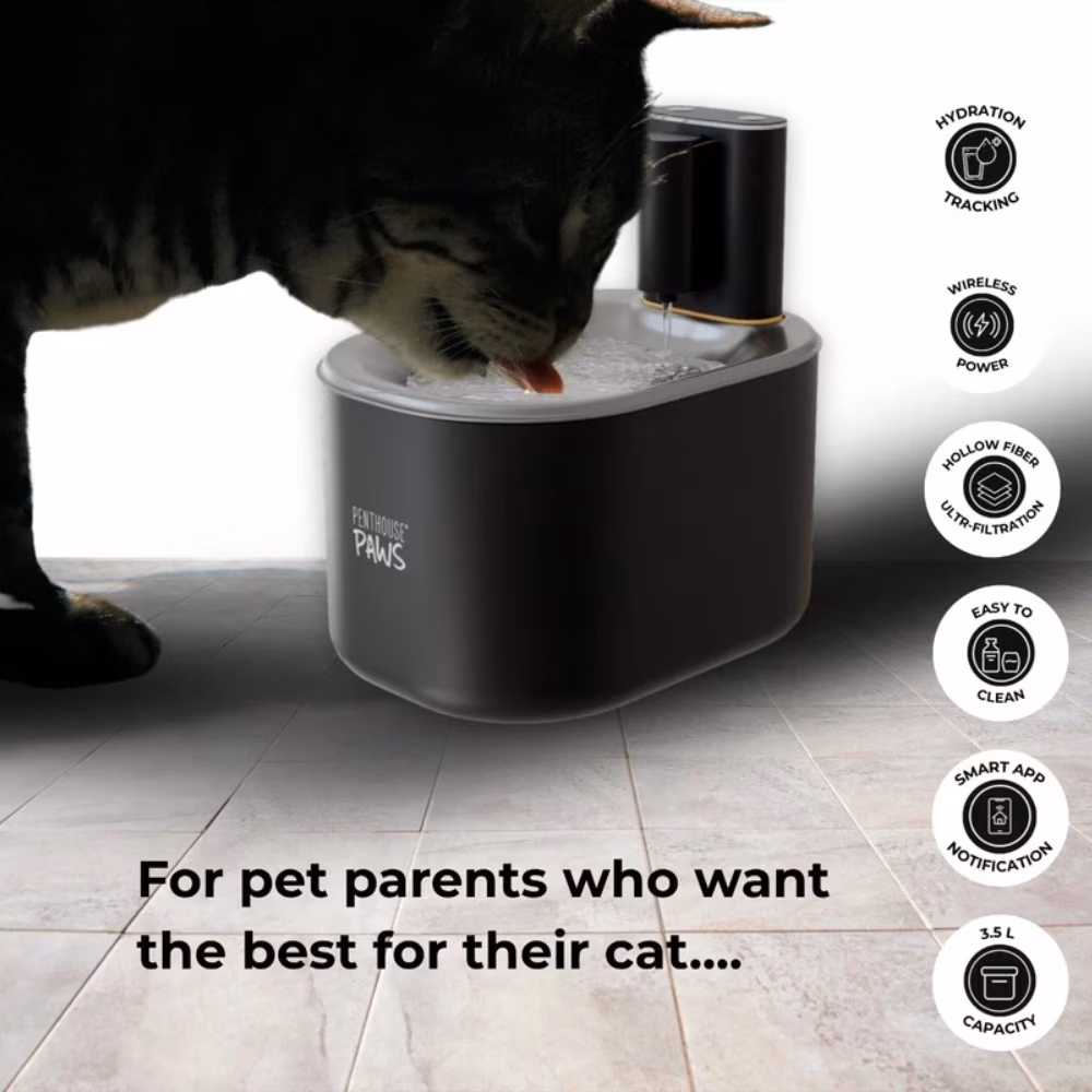 Penthouse Paws Smart Wireless Water Fountain, 3.5L, App-Controlled, Ultra-Quiet, Motion Sensor, 45-Day Battery Life, 5-Level UV Filtration, Portable Pet Drinking Fountain, for Cat & Dog, Black