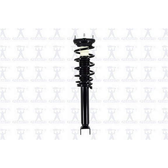 Suspension Strut and Coil Spring Assembly