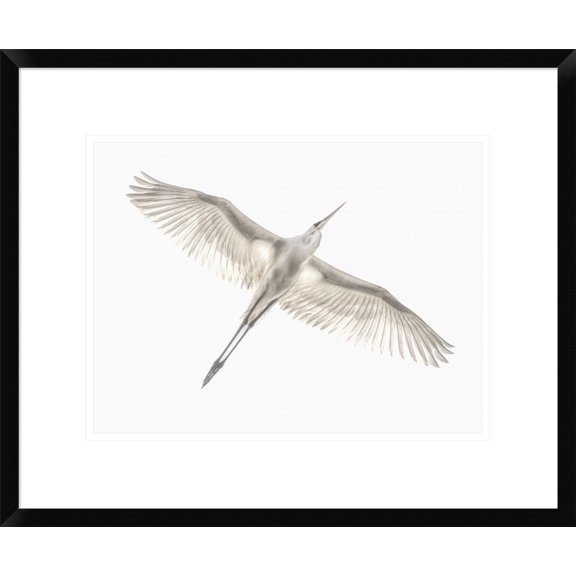 Global Gallery Keren Or 'Fly' Framed Wall Art