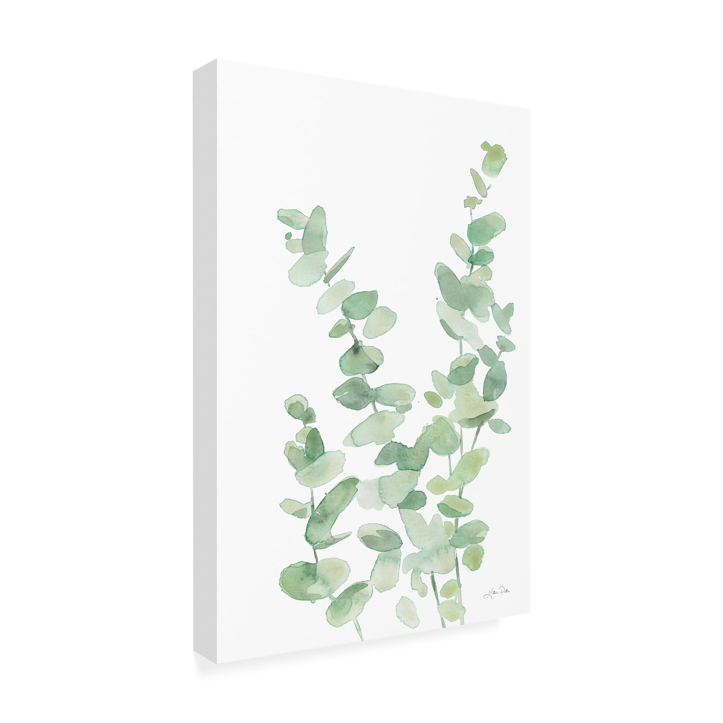Katrina Pete 'Eucalyptus II' Canvas Art