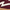 Burgundy Multi, variant on Madden Girl Women's Giia Gum Sole Lace-Up Sneakers