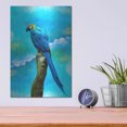 thumbnail image 4 of Luxe Metal Art 'Blue Parrot' by Ata Alishahi, Metal Wall Art, 12"x16", 4 of 9