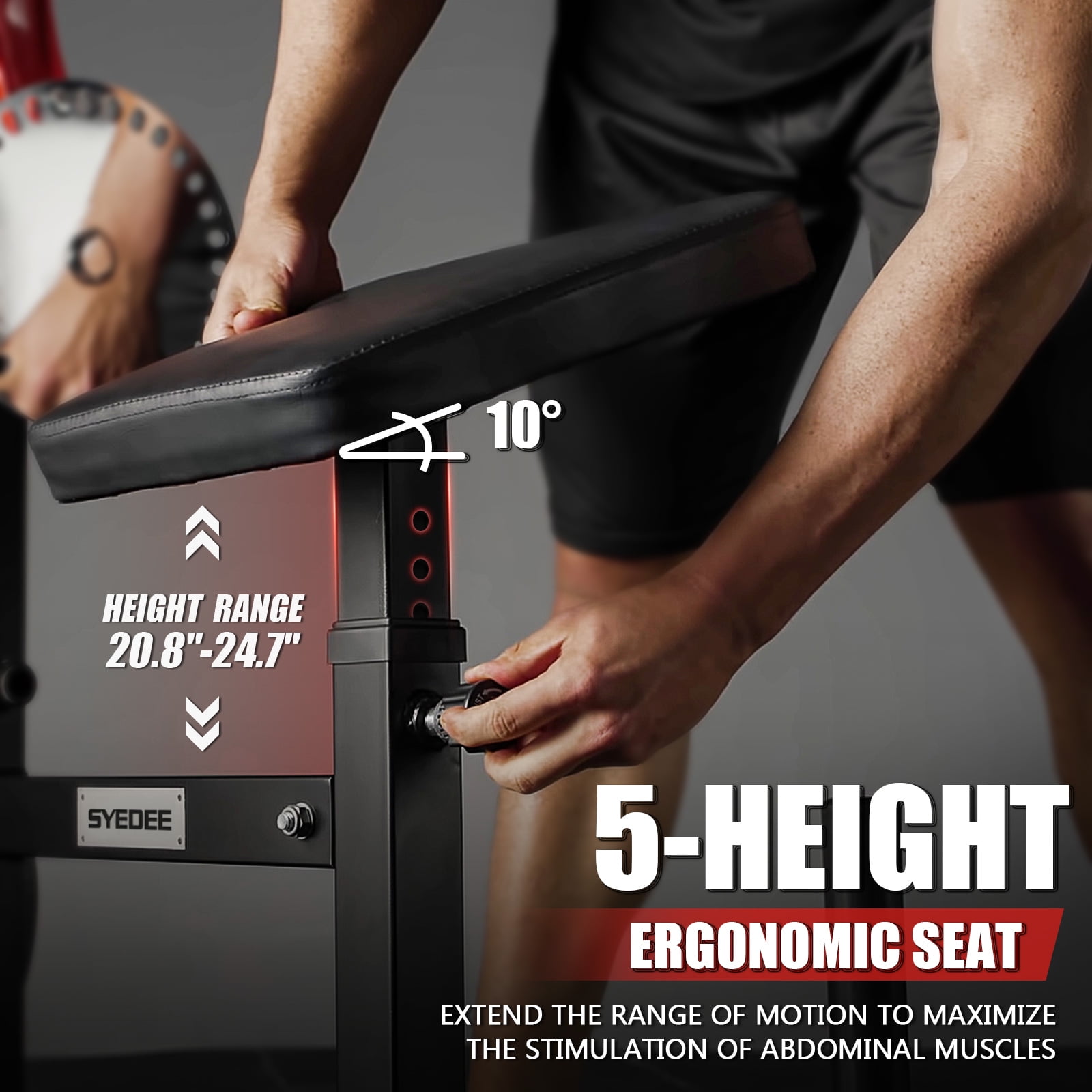Syedee Seated AB Curl/ Back Extension Machine, Plate Loaded Machine with 450lbs Weight Capacity, Home Gym for Core and Back Training