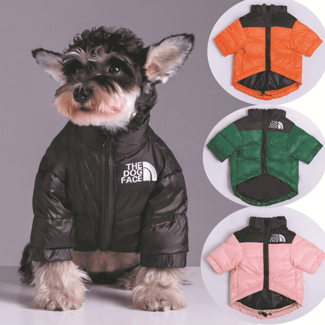 Chaqueta de plumón gruesa y resistente al frío para perros grandes y pequeños de invierno con ositos de peluche Schanery