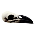 thumbnail image 4 of Ebros Edgar Poe Gothic Raven Skull Statue 7"Long Crow Scavenger Bird Ossuary Figurine Corvus Corax Fossil Sculptural, 4 of 5