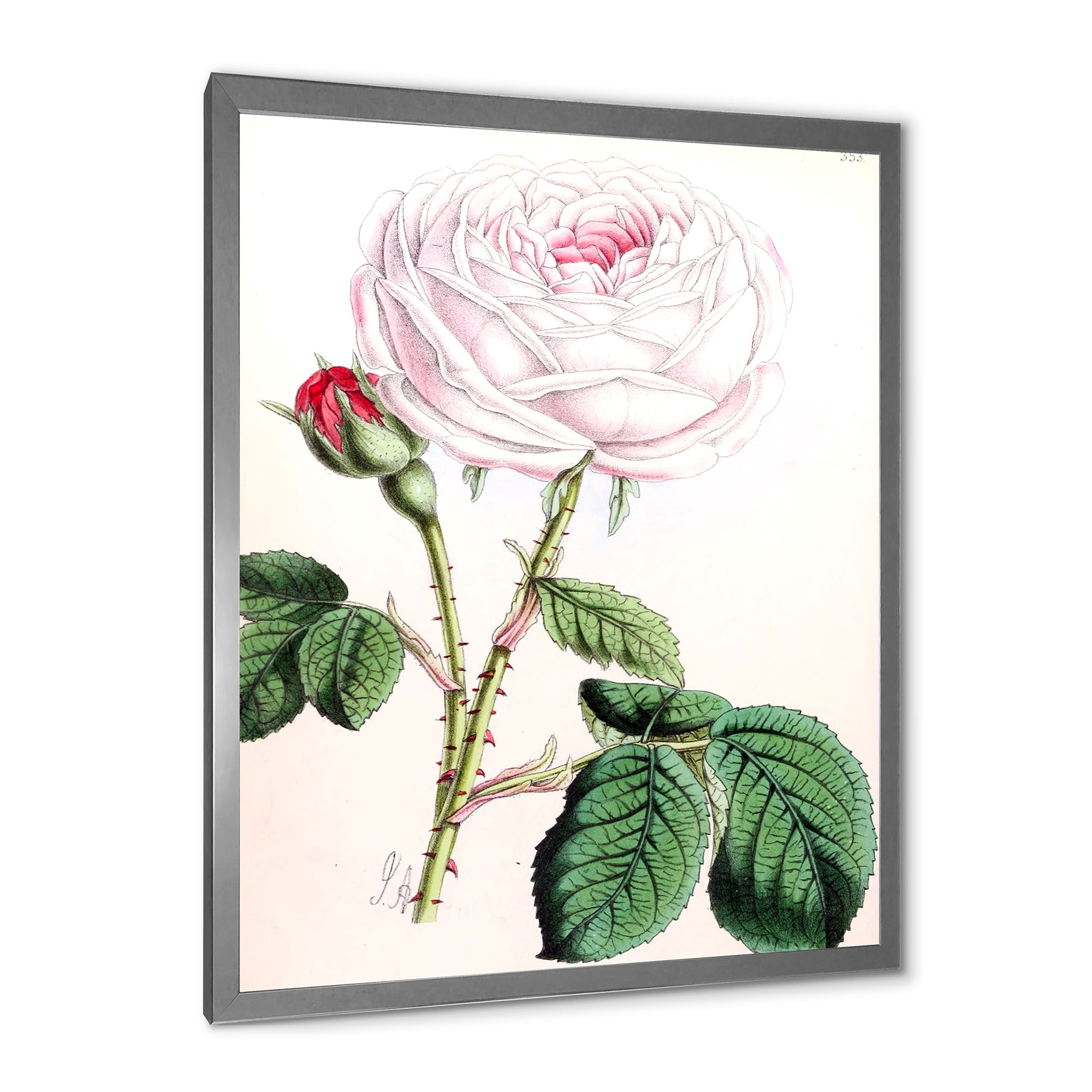 Designart 'Ancient Pink Flower' Traditional Framed Art Print