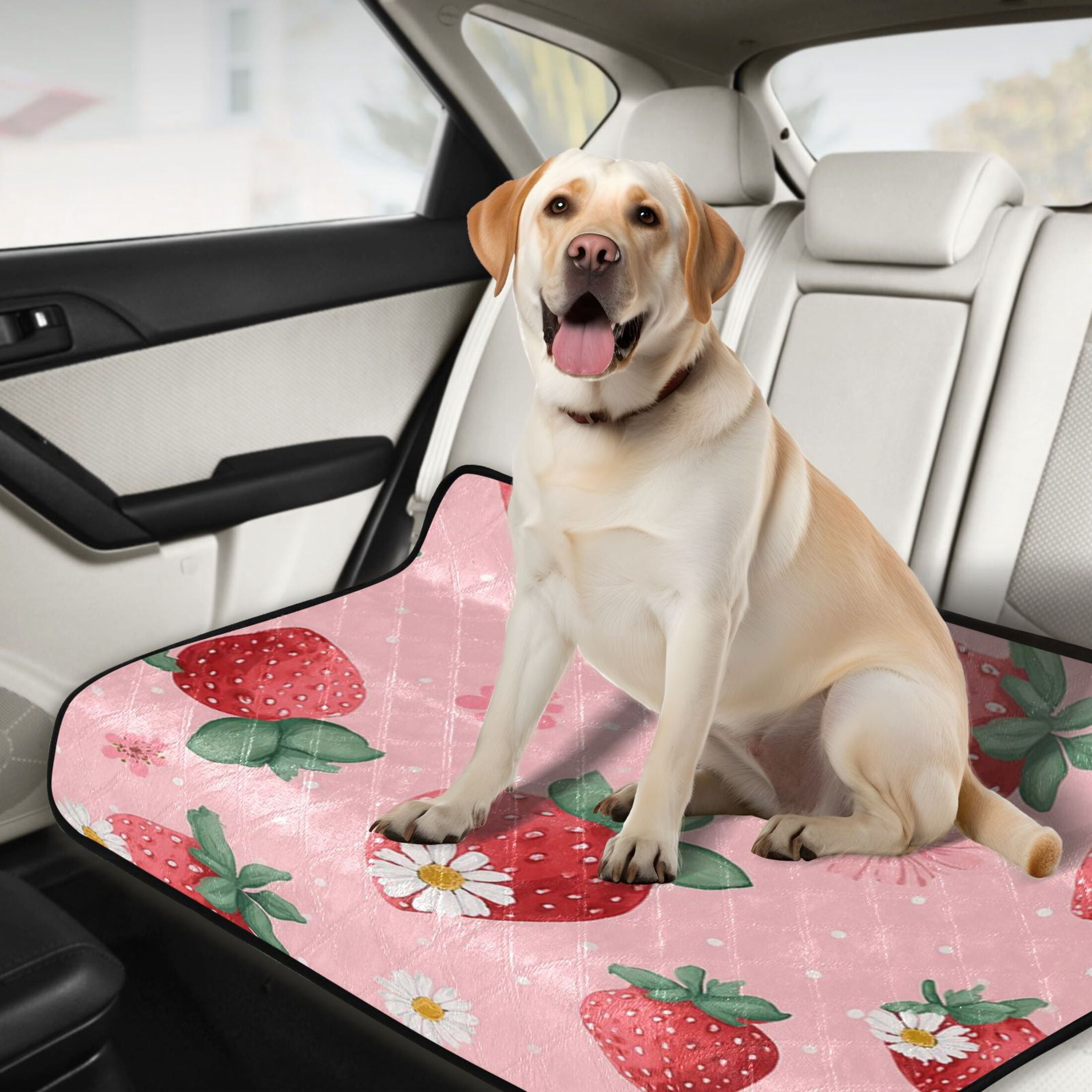 IAUYY Washable Pee Pads for Dogs Medium+Large Absorbent and Leak-Proof Non-Slip Reusable Puppy Pee Pads for Dogs Applicable to Playpen Potty Crate Strawberry