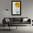thumbnail image 3 of Vision Studio 16x24 Black Modern Wood Framed Wall Art Titled - Vintage Garden Varieties III, 3 of 6
