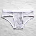 thumbnail image 4 of Men's Bikini Clubwear Ropa interior suave Breve malla transparente Breve ropa de dormir L Sunnimix Ropa interior sexy, 4 of 6