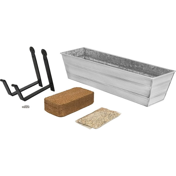 Bloom Box Garden Growing Kit Small White with Wall Brackets