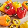 thumbnail image 2 of Fresh Organic Sweet Bell Peppers, 2 Count, 2 of 5
