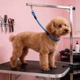 thumbnail image 3 of RKSTN Pet Leash P Rope Blue L, 3 of 5
