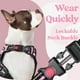 thumbnail image 3 of Arnés para perros Rabbitgoo, mejorado, sin tirones, para perros grandes, color rosa L, 3 of 9
