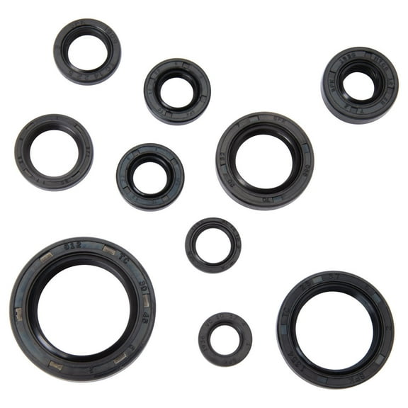 Tusk Engine Oil Seal Kit