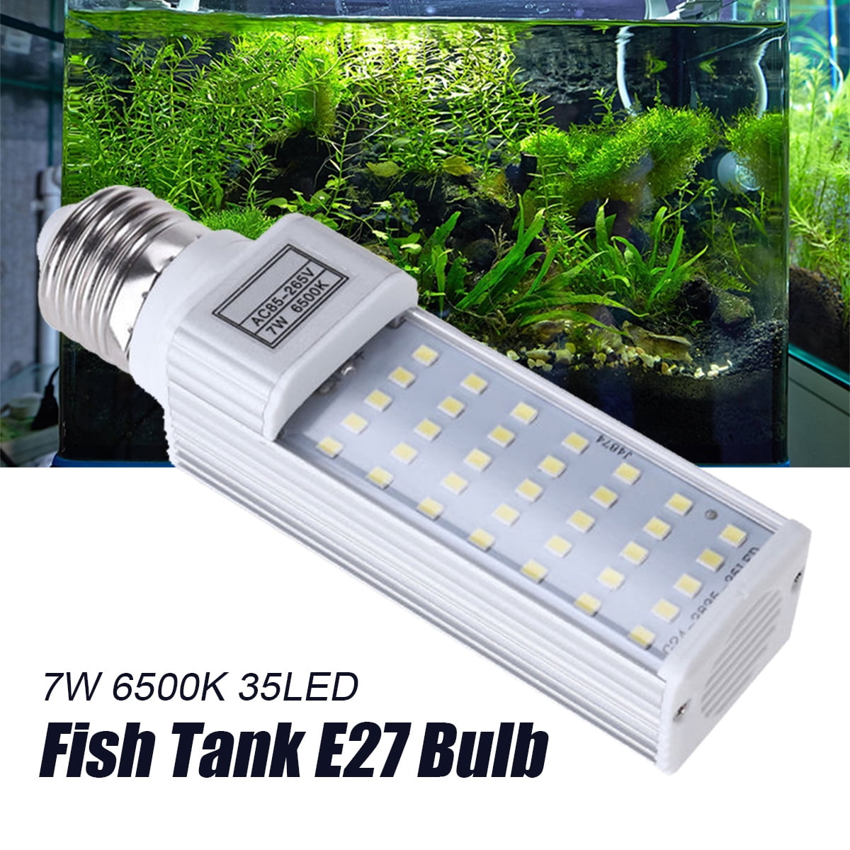 light bulb fish tank