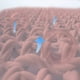thumbnail image 5 of Summer Cool Sense Of Silk Bed Sheet Set Of Three Of Ice Silk Hats For Double Bed Bedroom Bed, 5 of 6