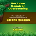 thumbnail image 5 of Scotts Turf Builder Soil Fertilizer, 1.5 cu. ft. with Lawn Repair, 5 of 12