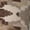 1 Black, variant on Desert Digital Camouflage Knee High Socks for Women Long Leg Warmers Socks