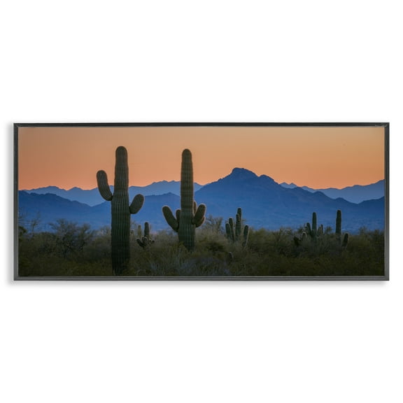 Stupell Industries Contrasting Desert Sunset Landscape & Nature Photography Black Framed Art Print Wall Art, 24 x 10