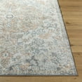 thumbnail image 2 of Amaris Traditional Runner Rug - Cream, Peach, Charcoal - 2'7" x 7'3" Runner, 2 of 9