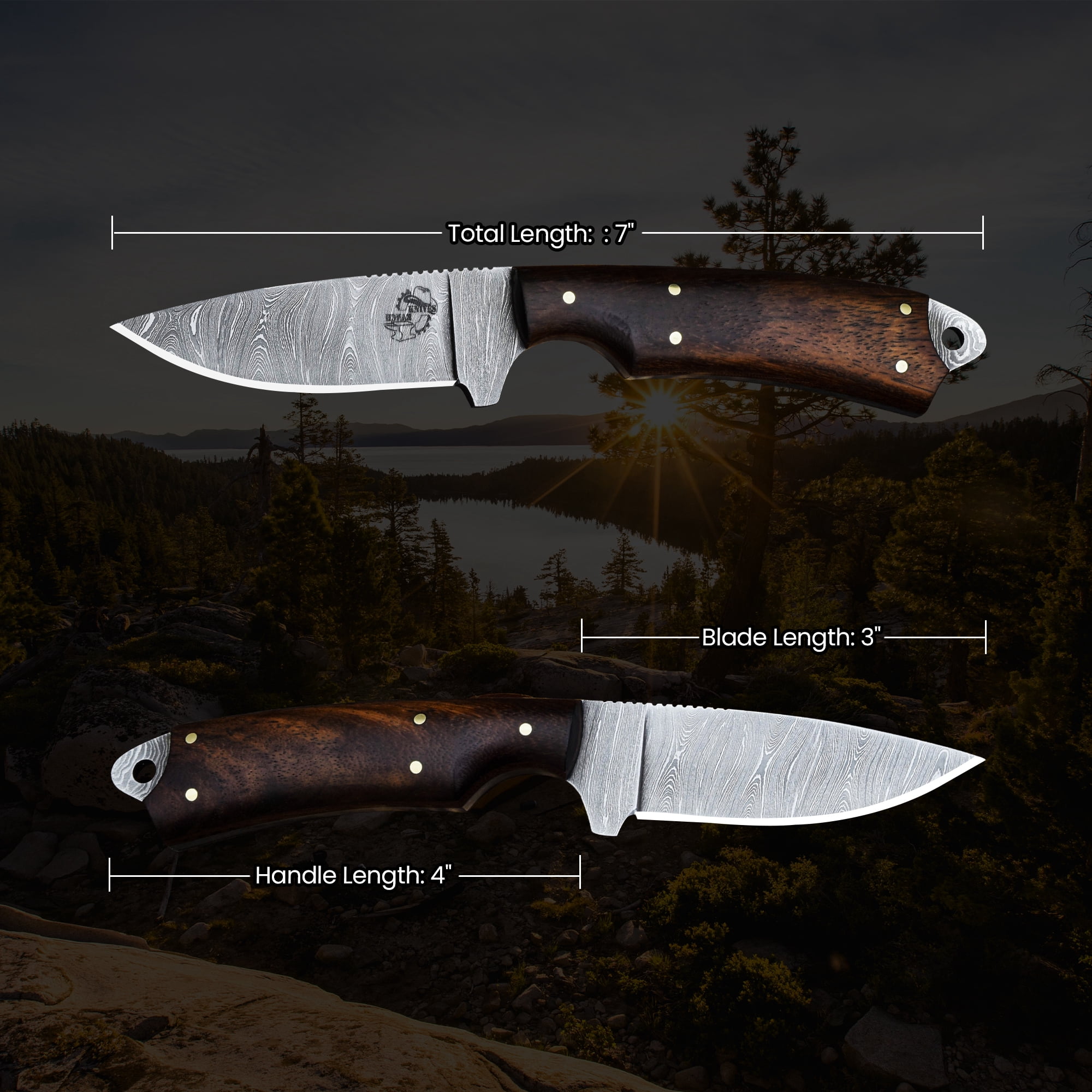 Knives Ranch Model 2001 Damascus Steel Fixed Blade Knife with Rosewood Handle – Durable Hunting, Camping, Outdoor Utility & EDC Knife