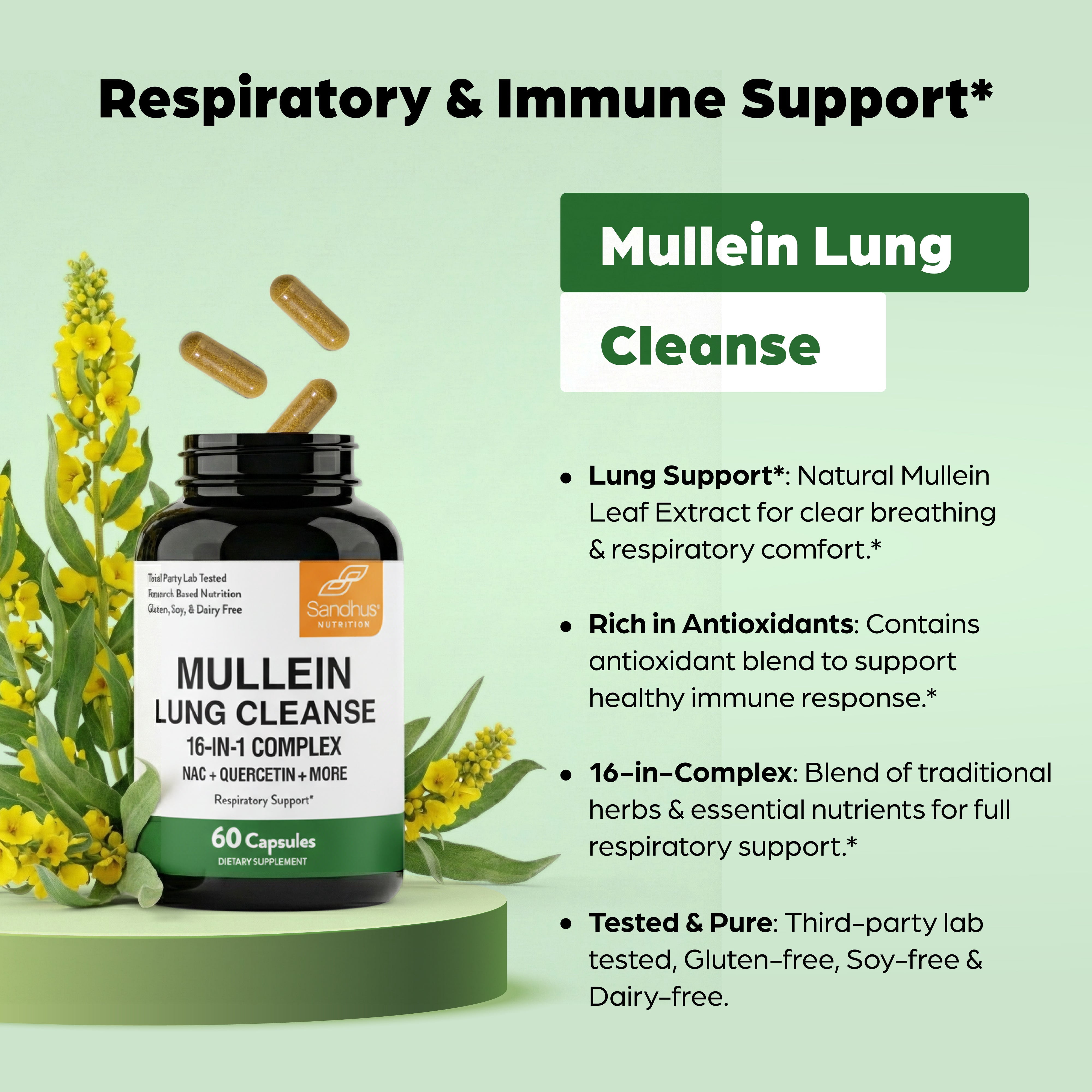 Sandhu's Mullein Capsules for Lungs with Quercetin | Mullein Leaf Extract Supplement for Immune, Lung & Respiratory Health Support | for Men & Women | 60 Count (Pack of 1)